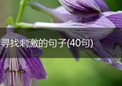 寻找刺激的句子(40句)