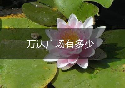 万达广场有多少