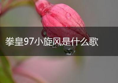 拳皇97小旋风是什么歌