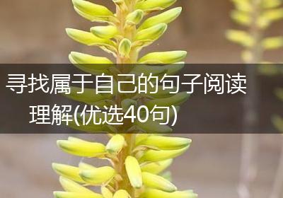 寻找属于自己的句子阅读理解(优选40句)
