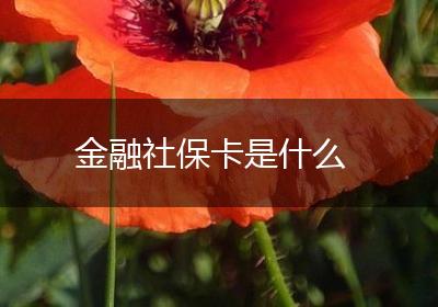 金融社保卡是什么
