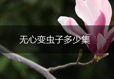 无心变虫子多少集