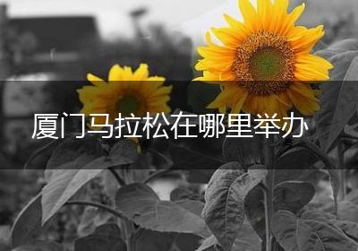 厦门马拉松在哪里举办