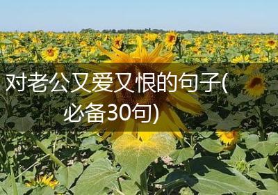 对老公又爱又恨的句子(必备30句)