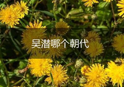 吴潜哪个朝代