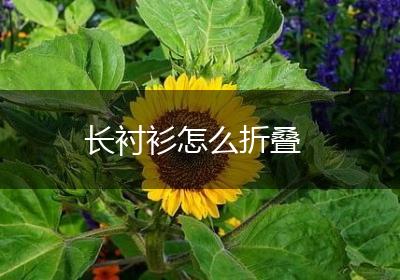 长衬衫怎么折叠
