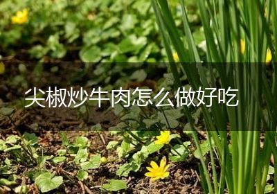 尖椒炒牛肉怎么做好吃