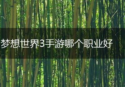 梦想世界3手游哪个职业好