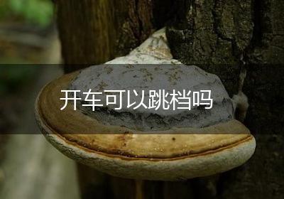 开车可以跳档吗