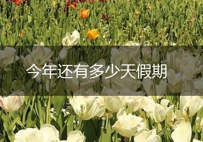 今年还有多少天假期