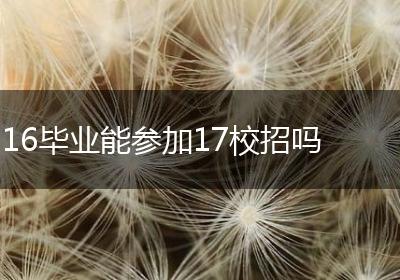 16毕业能参加17校招吗