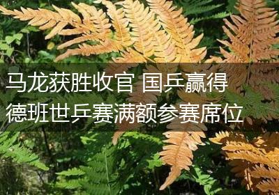 马龙获胜收官 国乒赢得德班世乒赛满额参赛席位