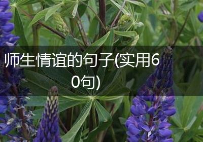 师生情谊的句子(实用60句)