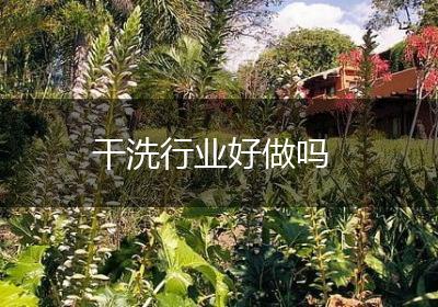 干洗行业好做吗