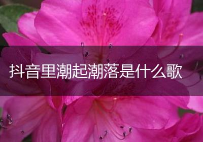抖音里潮起潮落是什么歌
