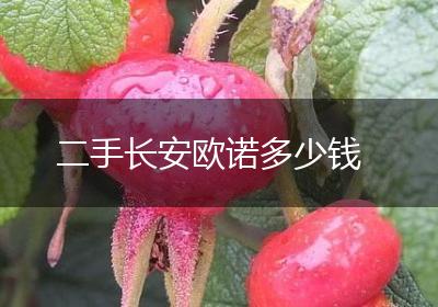 二手长安欧诺多少钱