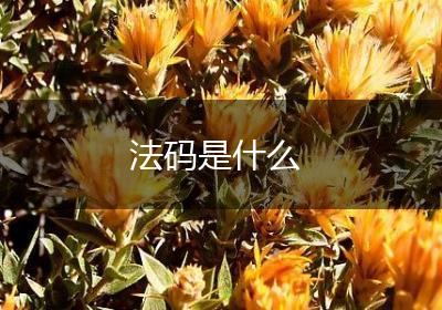 法码是什么