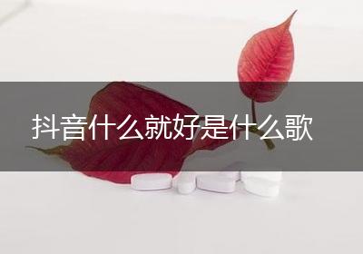 抖音什么就好是什么歌