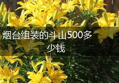 烟台组装的斗山500多少钱