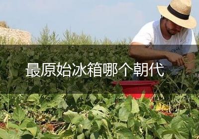 最原始冰箱哪个朝代