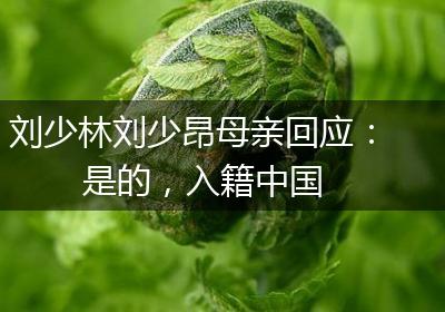刘少林刘少昂母亲回应：是的，入籍中国
