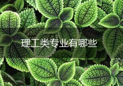 理工类专业有哪些