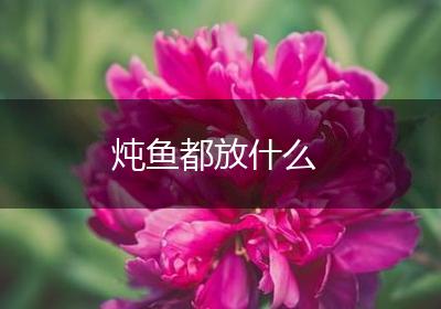 炖鱼都放什么