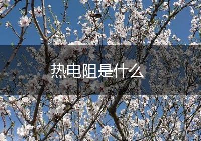热电阻是什么