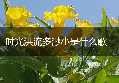 时光洪流多渺小是什么歌