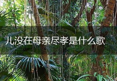 儿没在母亲尽孝是什么歌