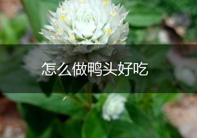 怎么做鸭头好吃