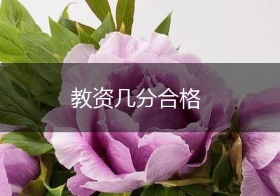 教资几分合格