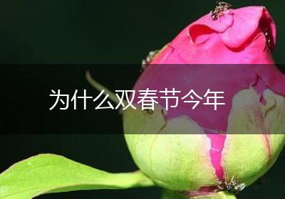 为什么双春节今年