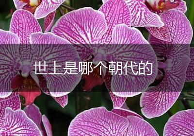 世上是哪个朝代的