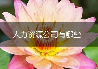 人力资源公司有哪些