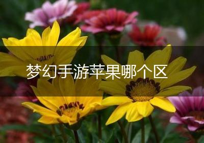 梦幻手游苹果哪个区