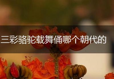 三彩骆驼载舞俑哪个朝代的
