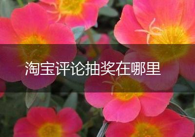 淘宝评论抽奖在哪里