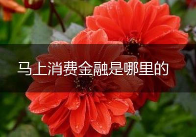 马上消费金融是哪里的