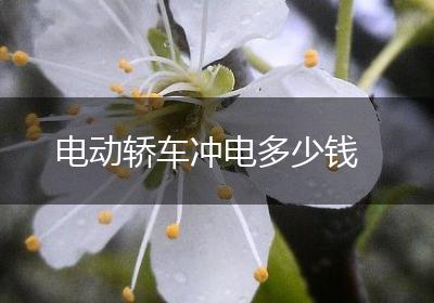 电动轿车冲电多少钱