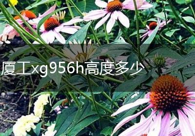 厦工xg956h高度多少