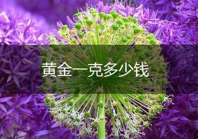 黄金一克多少钱