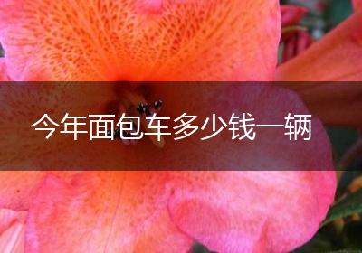 今年面包车多少钱一辆