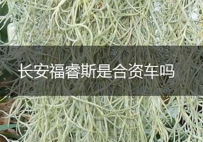 长安福睿斯是合资车吗