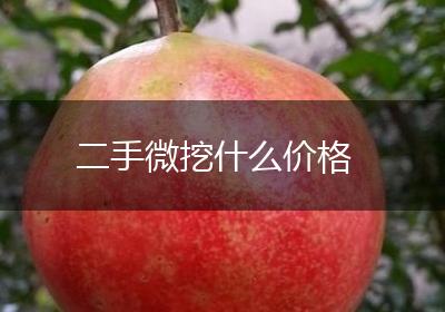 二手微挖什么价格