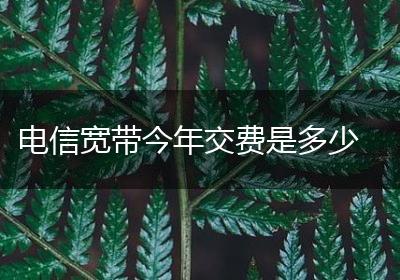 电信宽带今年交费是多少