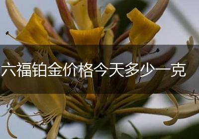 六福铂金价格今天多少一克