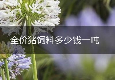 全价猪饲料多少钱一吨