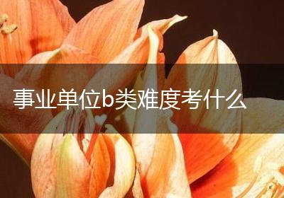 事业单位b类难度考什么