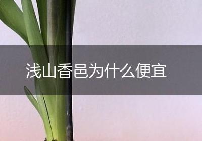 浅山香邑为什么便宜